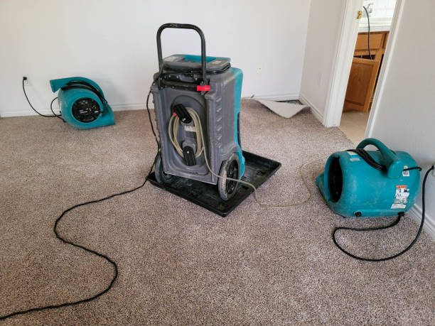 Best Water damage restoration near me  in Ross, OH