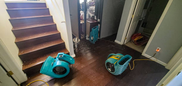 Best Commercial water damage restoration  in Ross, OH