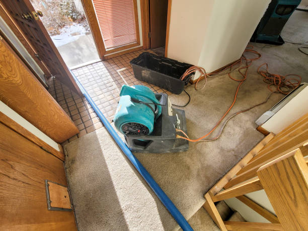 Reliable Ross, OH Water damage restoration Solutions