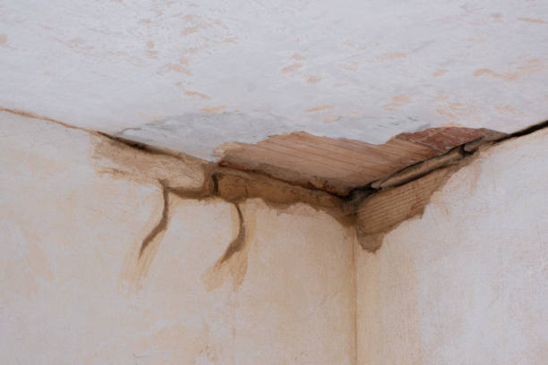 Best Water damage restoration near me  in Ross, OH