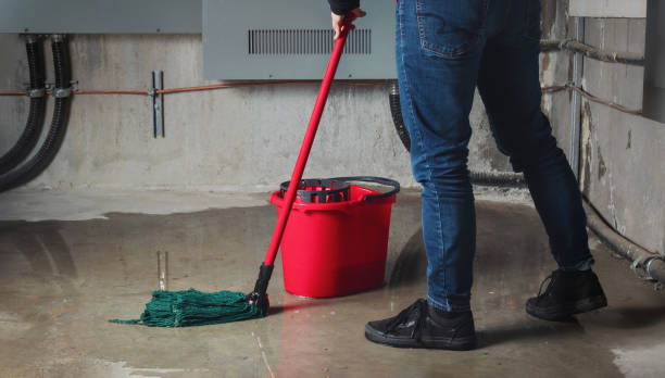 Best Carpet water damage restoration  in Ross, OH