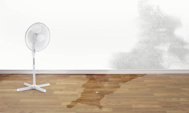 Best Flood restoration services  in Ross, OH