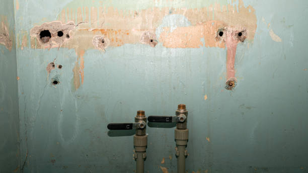 Best Professional water damage repair  in Ross, OH