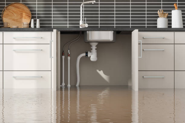 Best Ceiling water damage repair  in Ross, OH