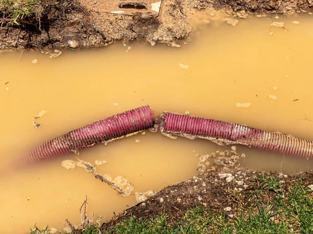 Best Water damage contractors near me  in Ross, OH